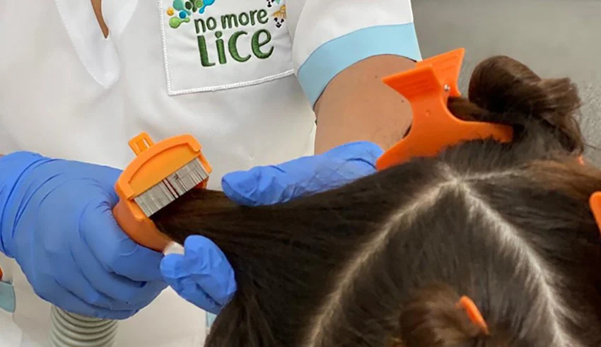 What Ingredients Should I Look For In Head Lice Shampoo?